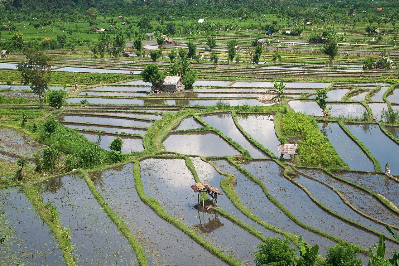 Tirta Gangga