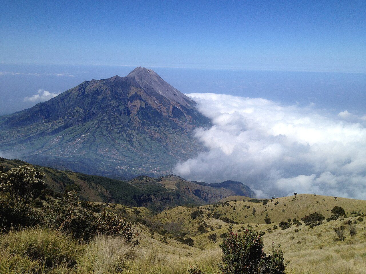 Mount Merapi