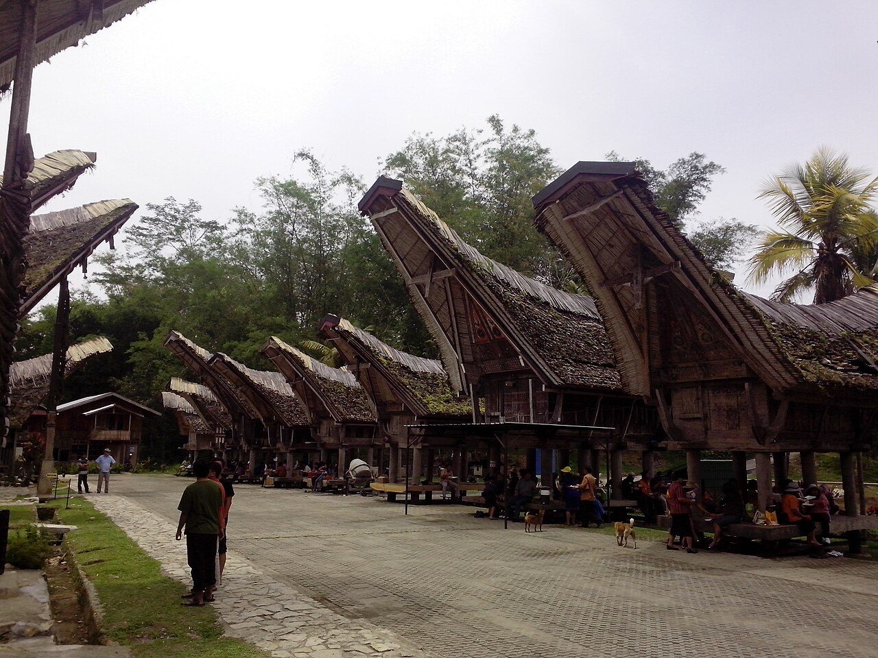 Sulawesi in 4 Days: Makassar, Rammang-Rammang and Tana Toraja