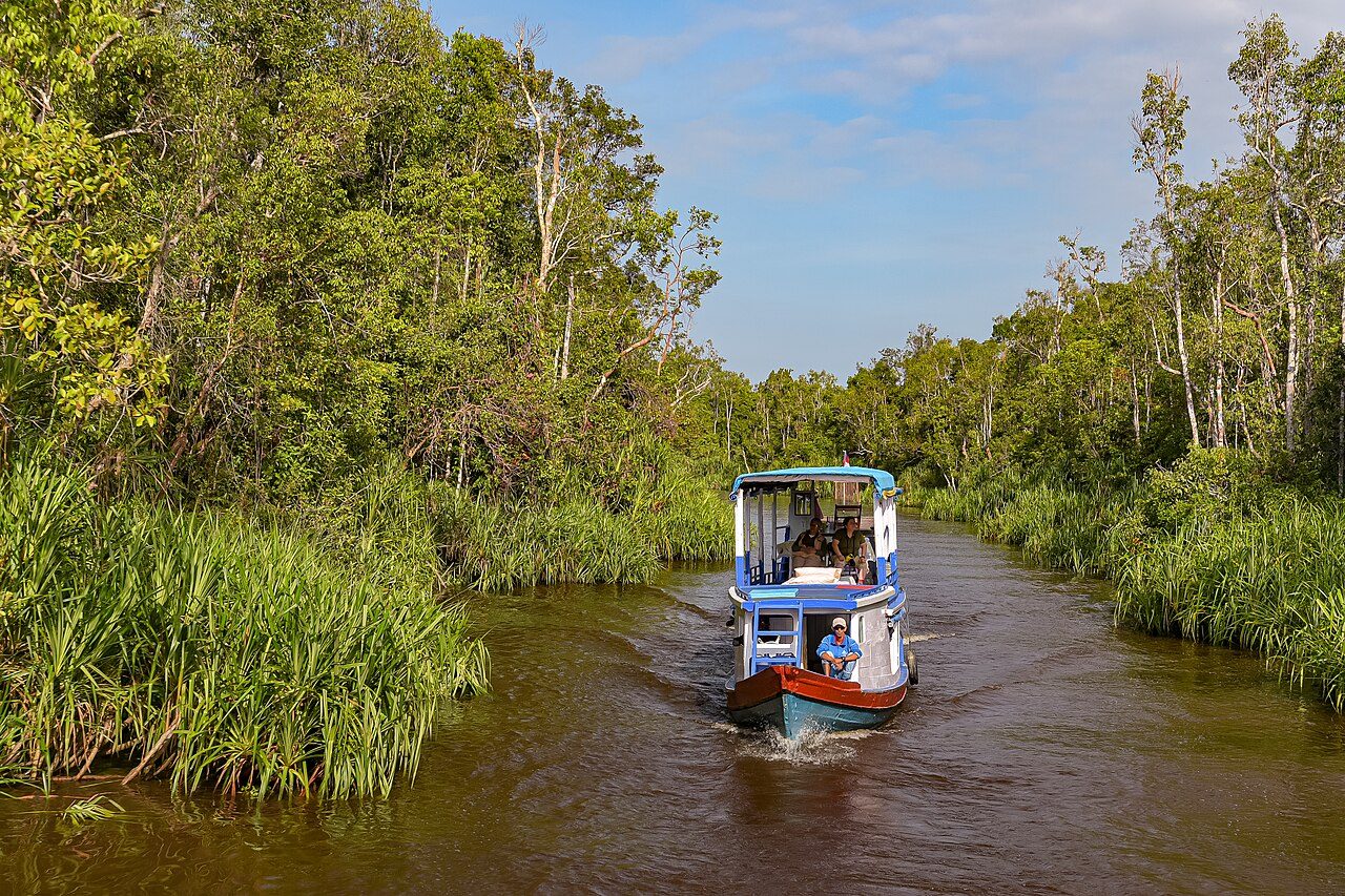 Tanjung Puting National Park