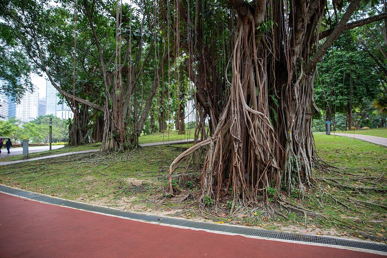 KLCC Park