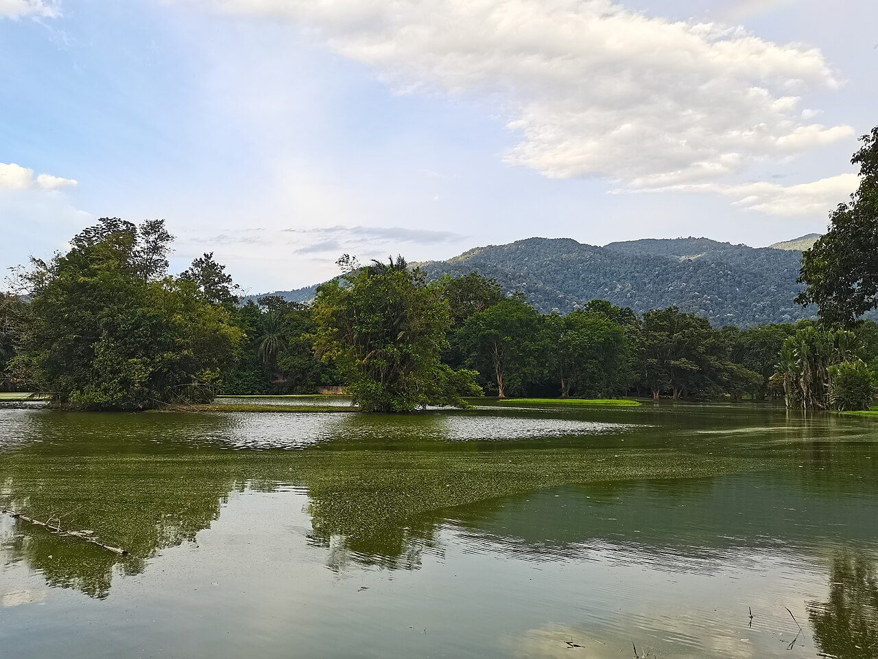 Taiping Lake Gardens