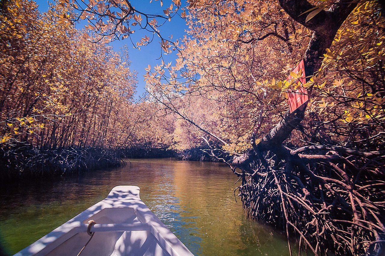 Kilim Karst Geoforest Park