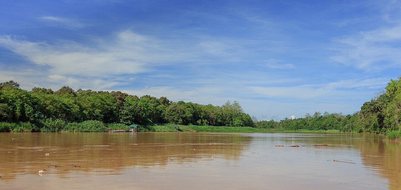 Kinabatangan River