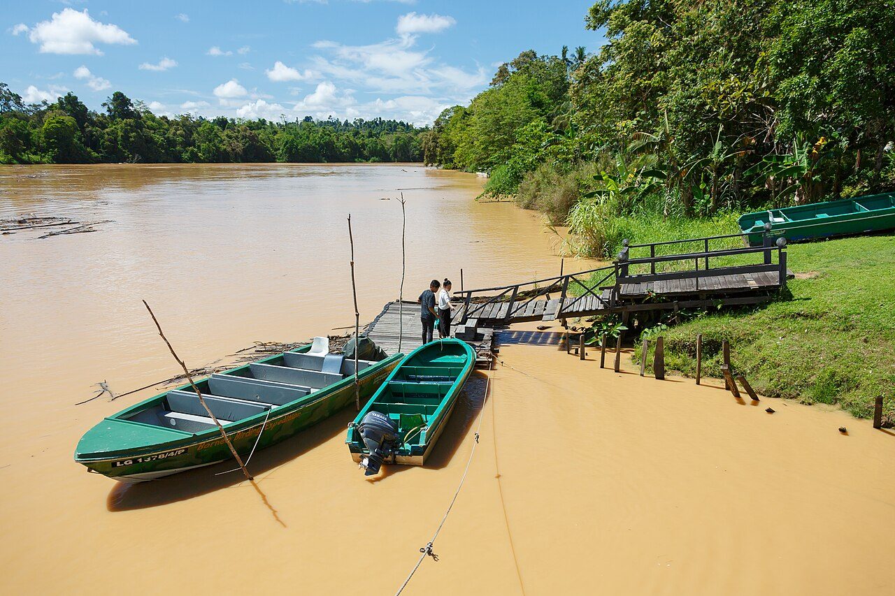 Kinabatangan River