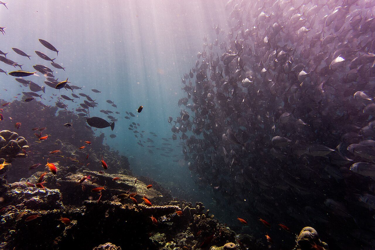 Sipadan