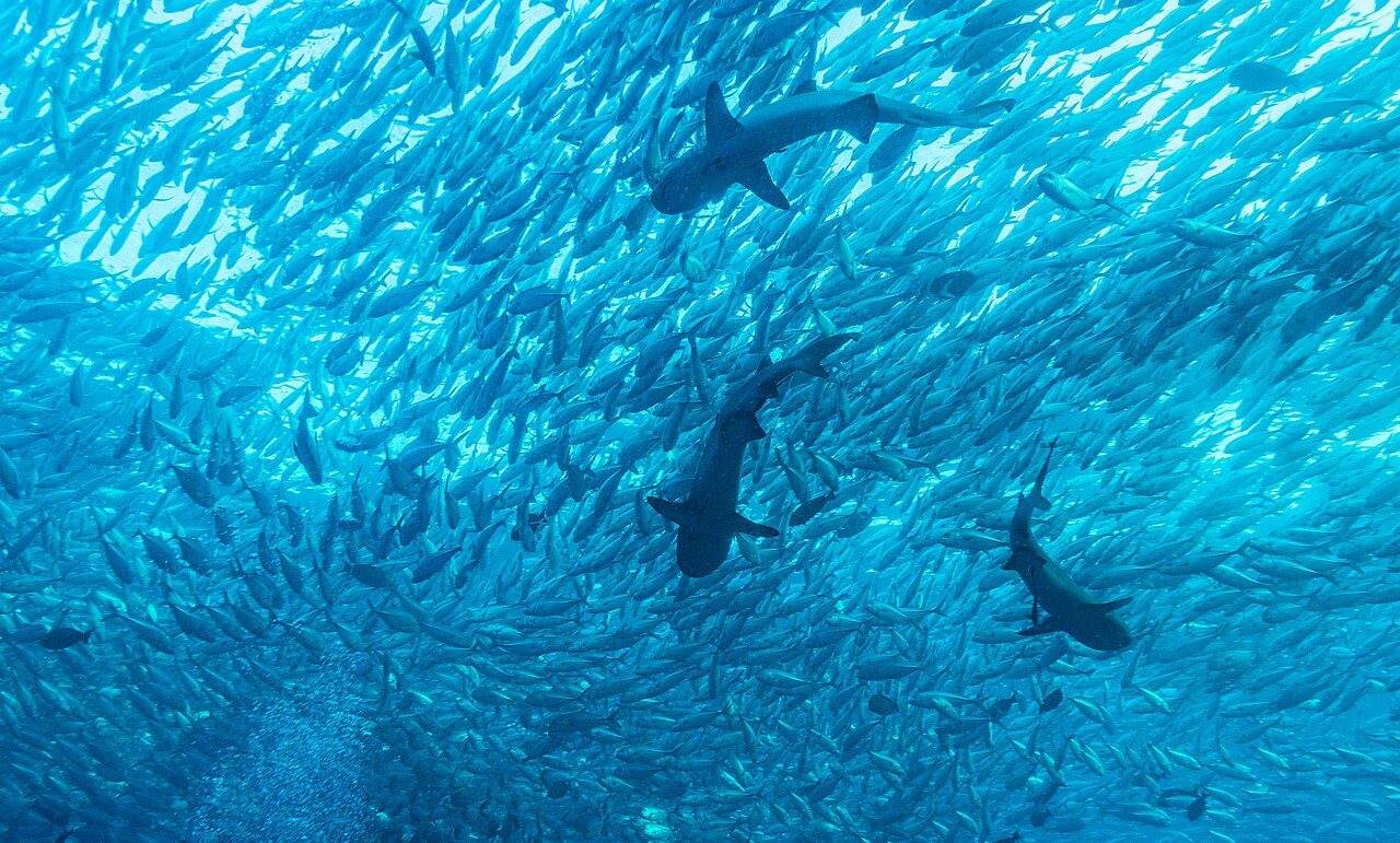 Sipadan