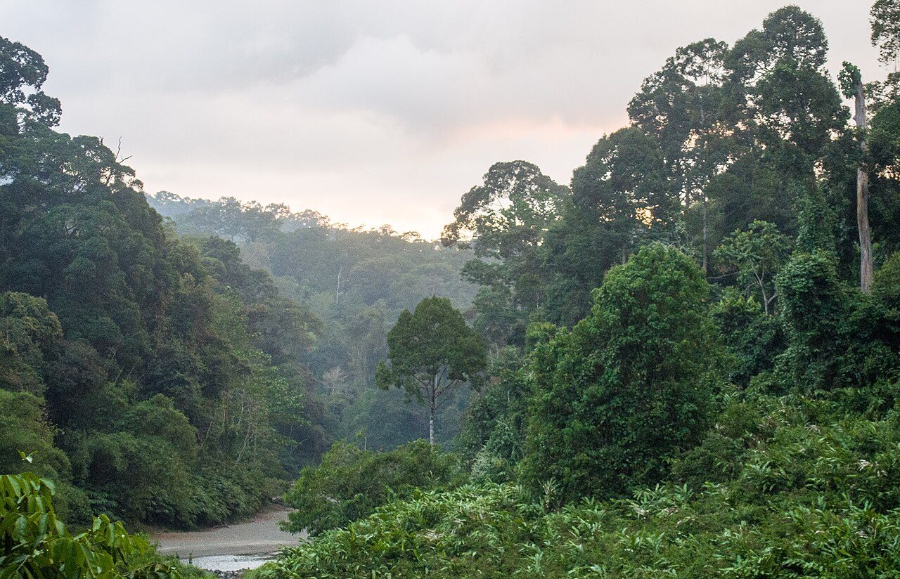 Danum Valley