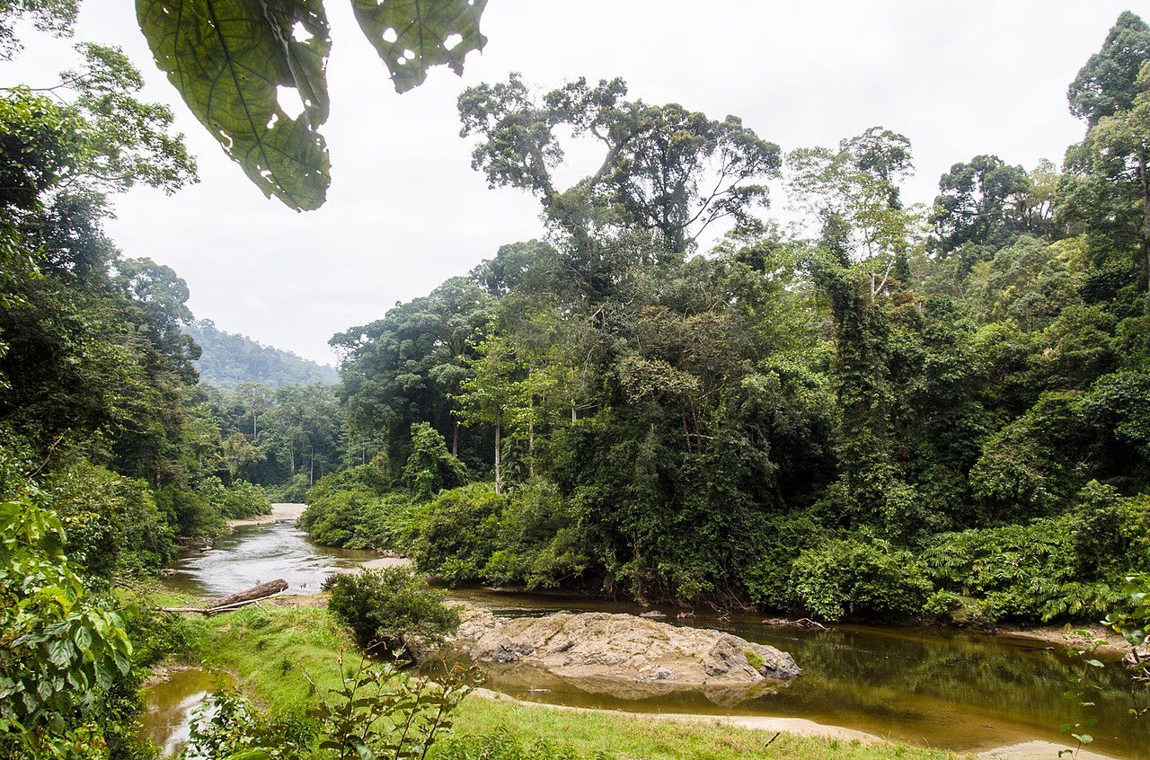 Danum Valley