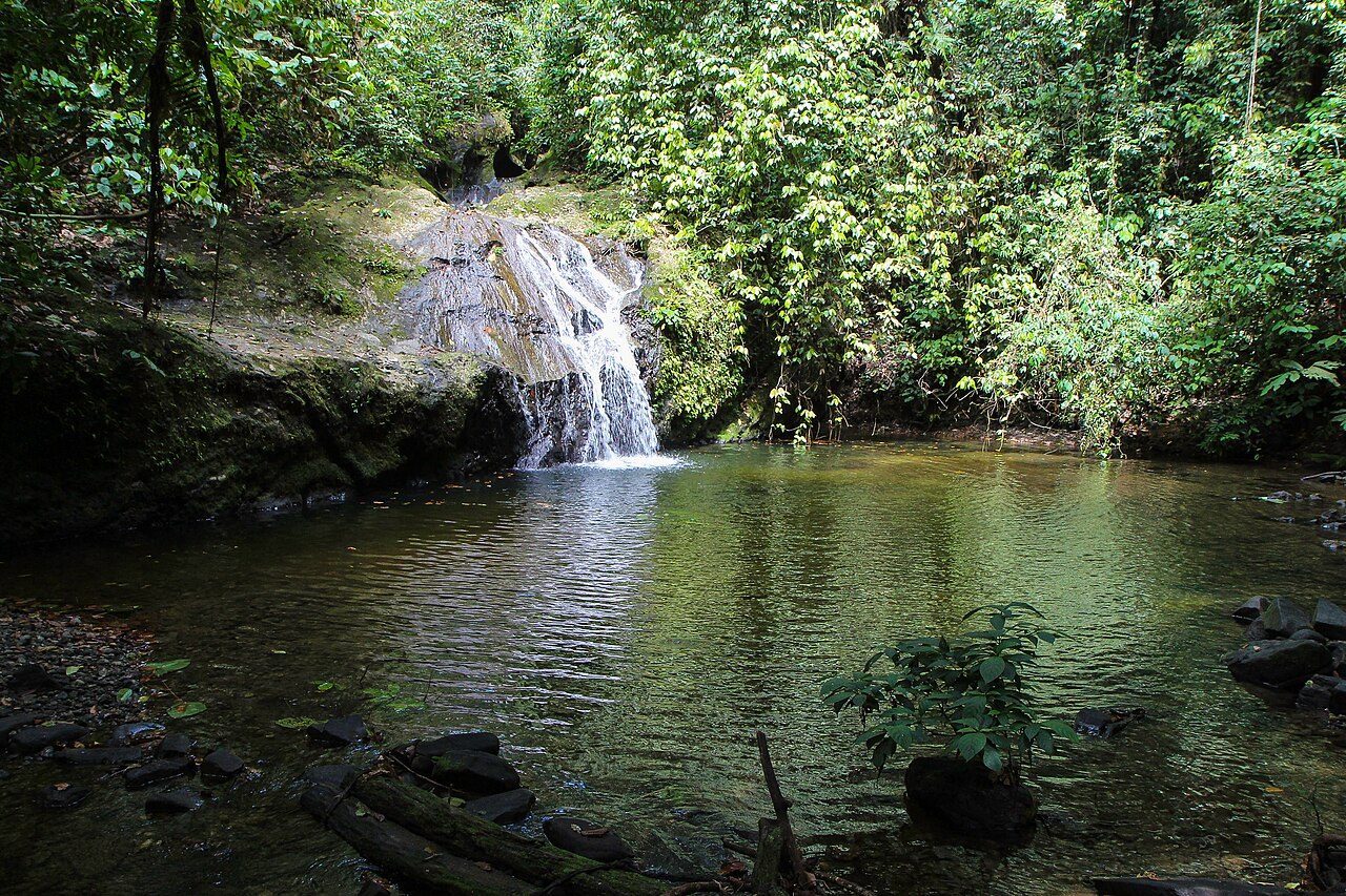 Danum Valley
