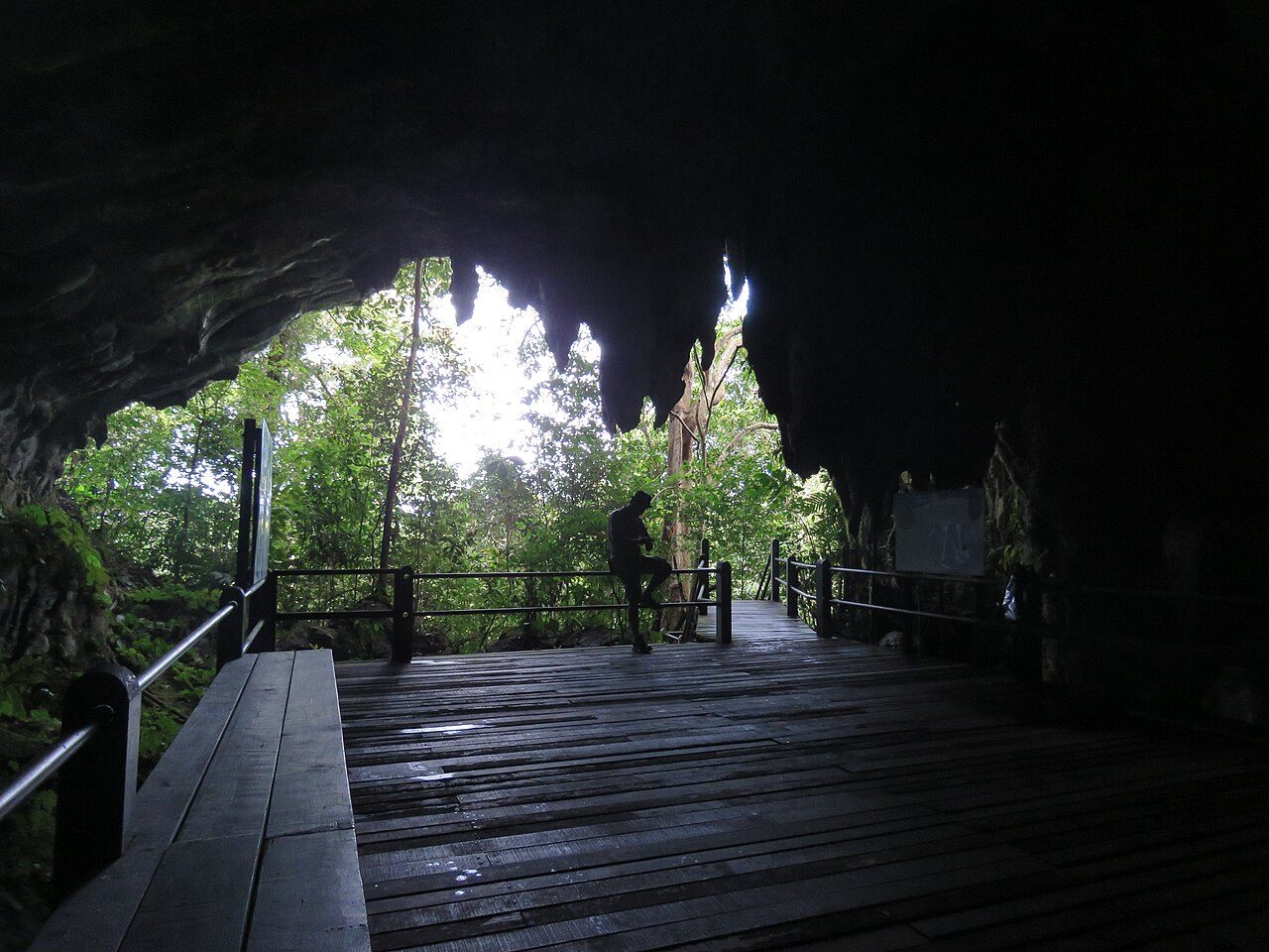 Gunung Mulu National Park
