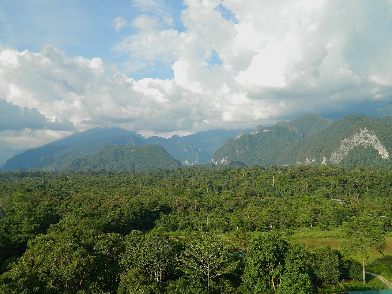 Gunung Mulu National Park