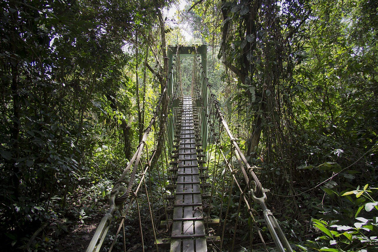 Gunung Mulu National Park