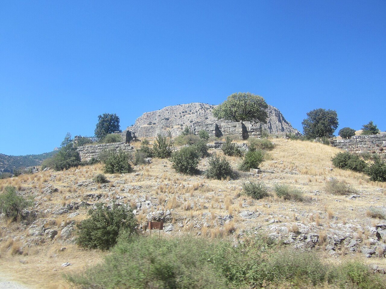 Priene