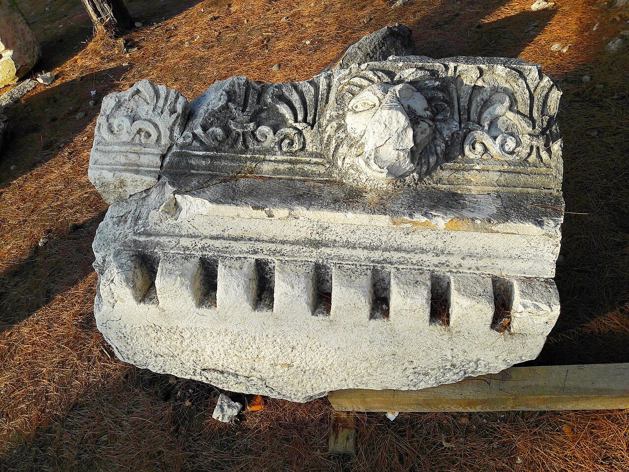 Phaselis