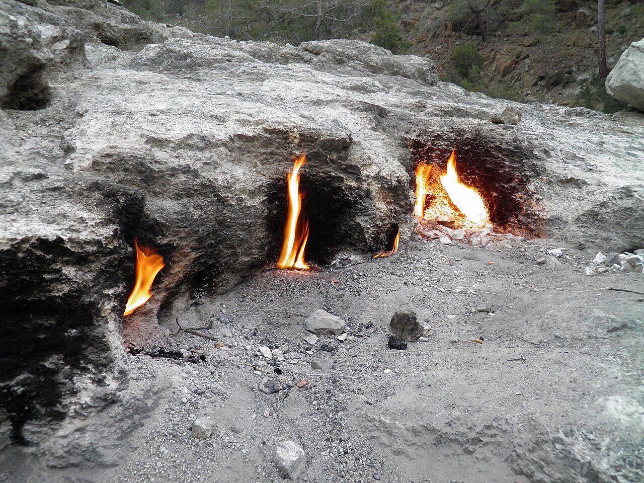 Chimaera Flames