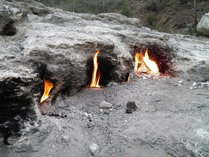 Chimaera Flames