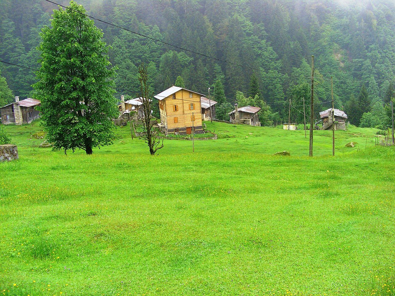 Ayder Plateau