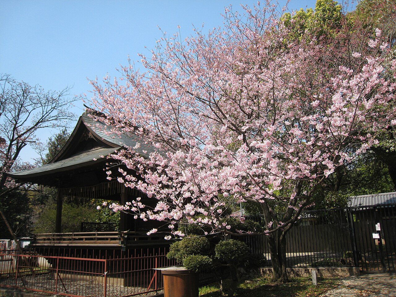 Ueno Park