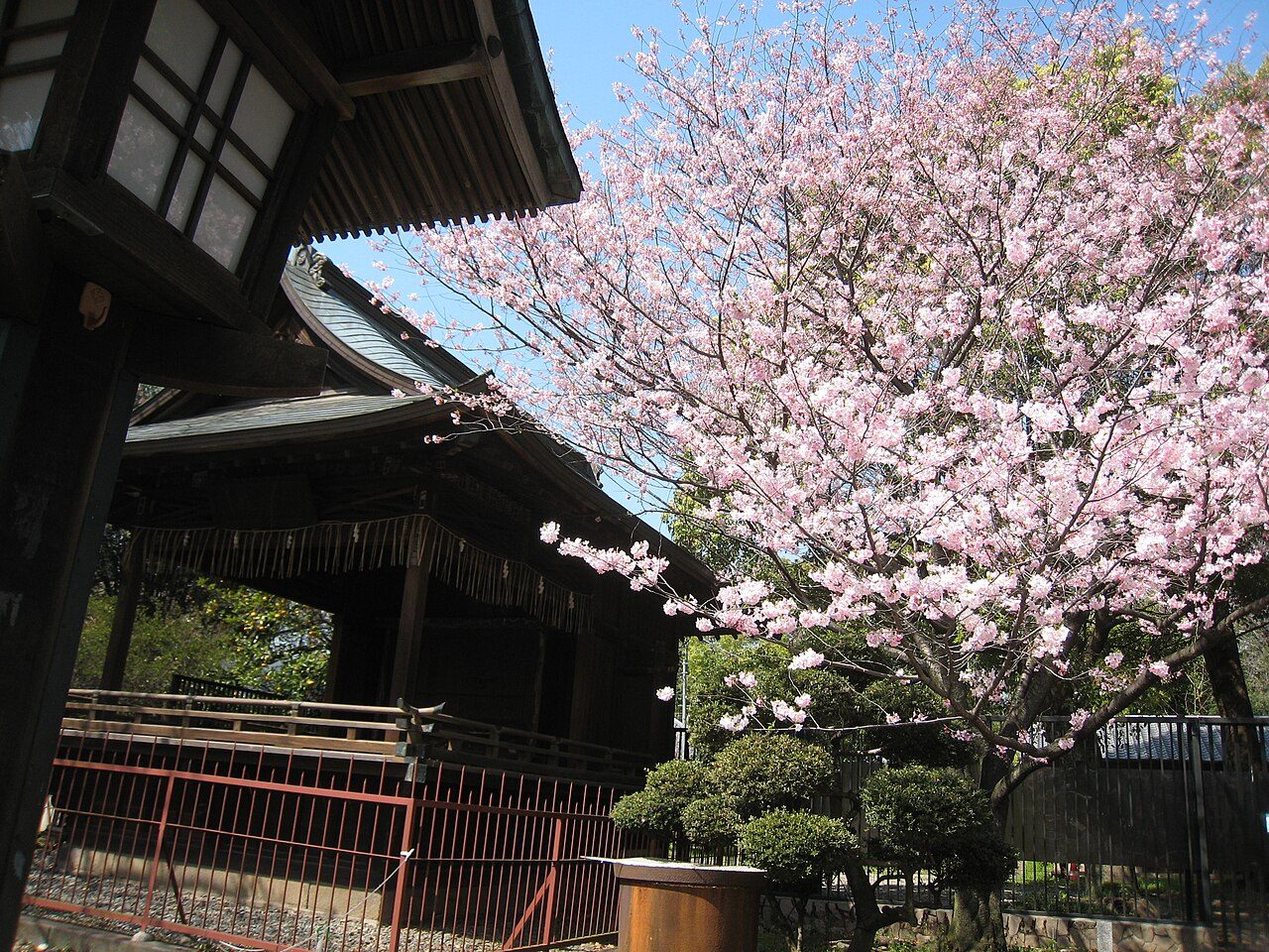 Ueno Park