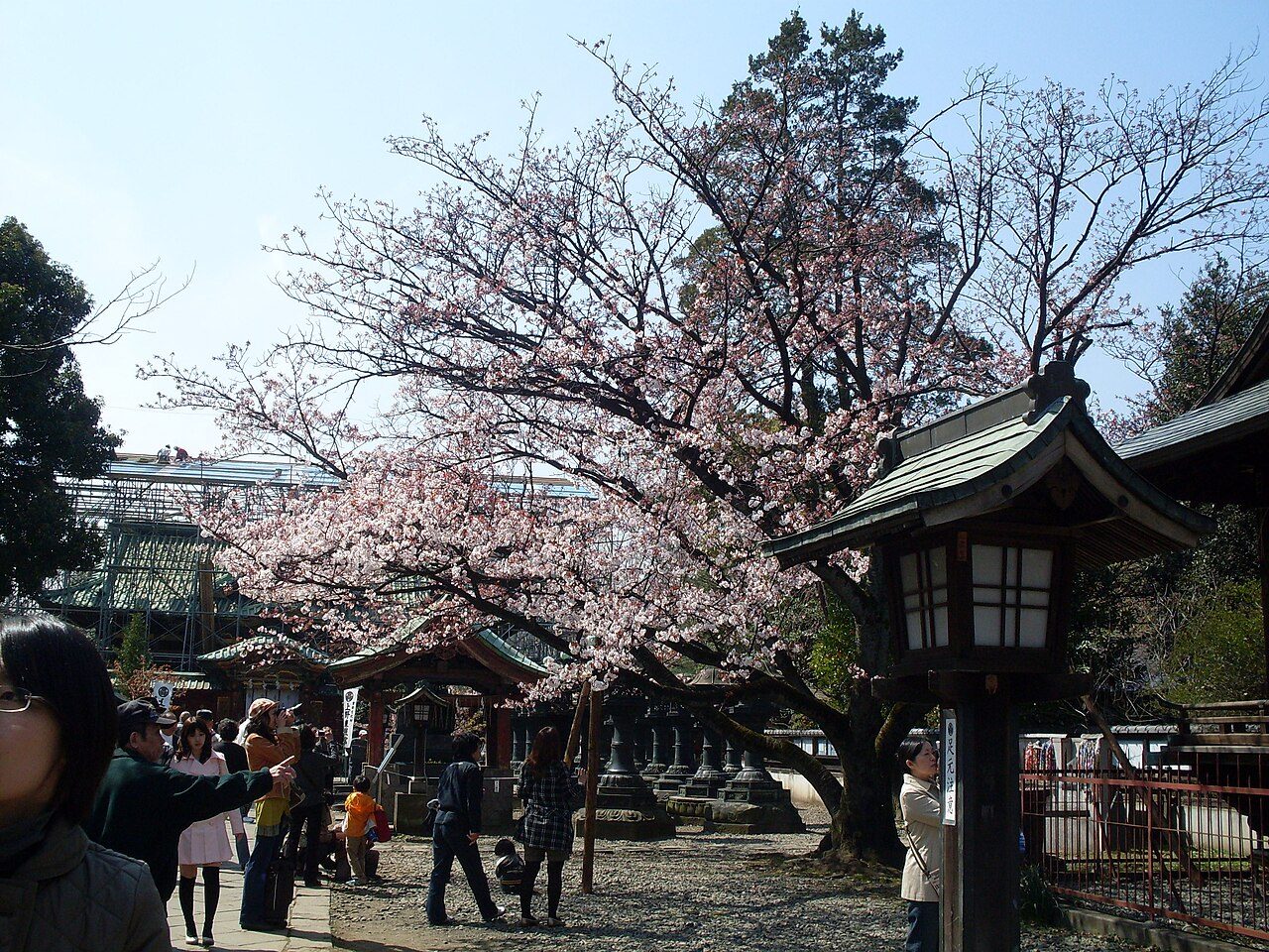 Ueno Park