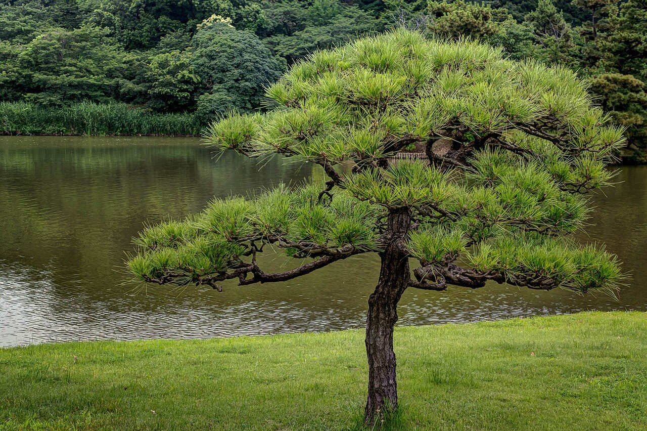 Sankei-en