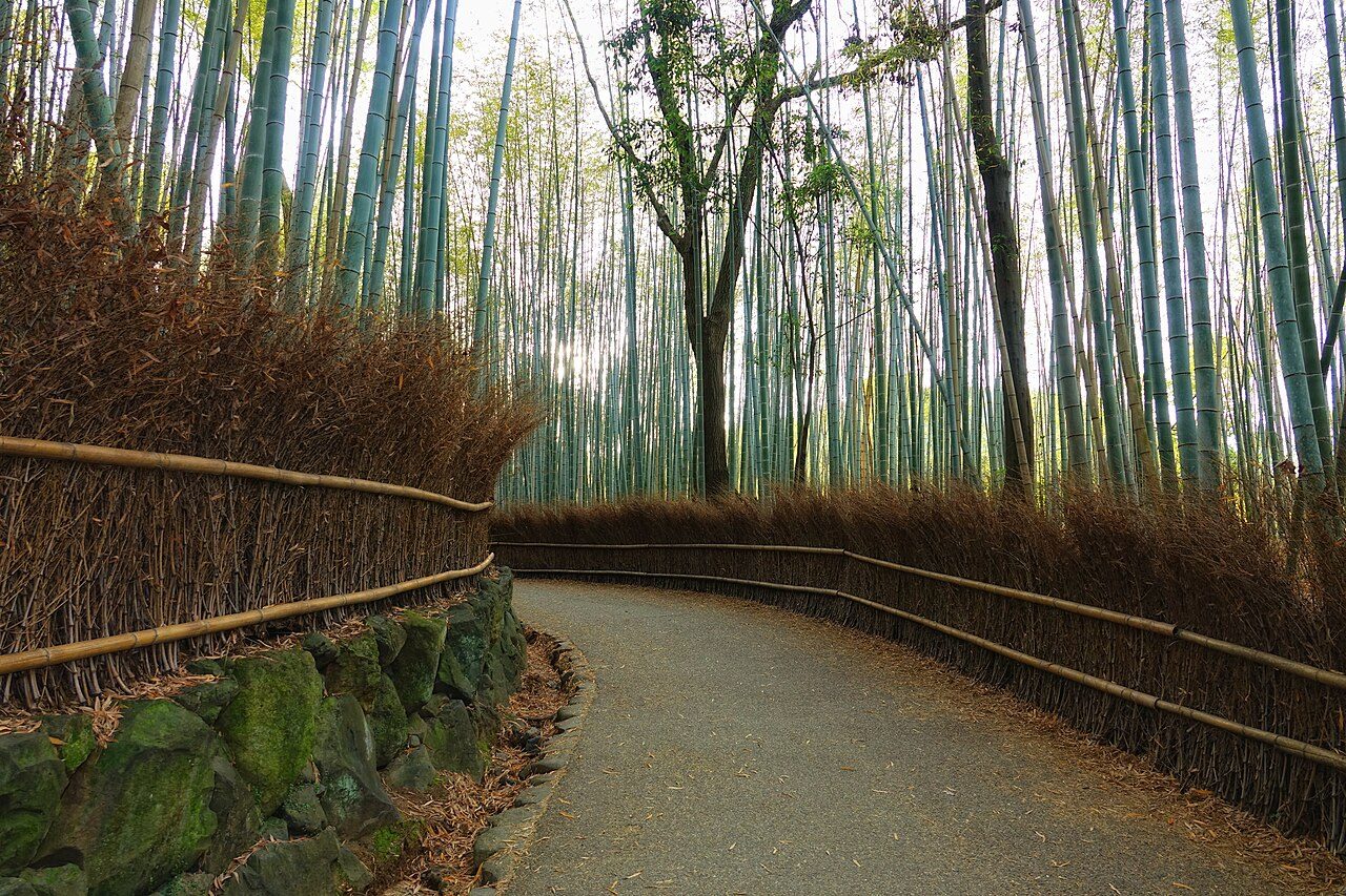 Arashiyama Bamboo Grove