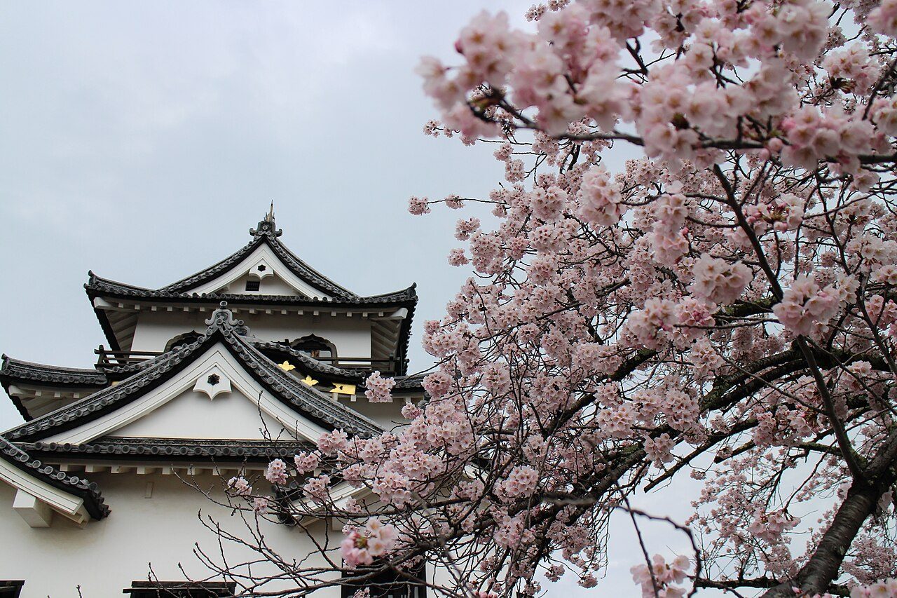 Hikone Castle