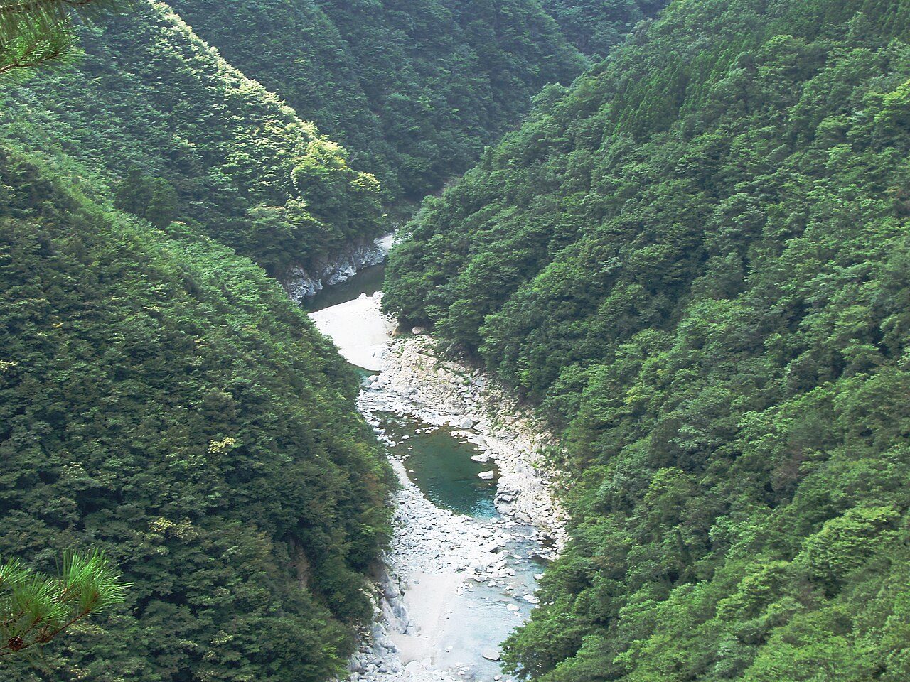 Shikoku in 5 Days: Whirlpools, Art Islands, Vine Bridges and Dōgo Onsen