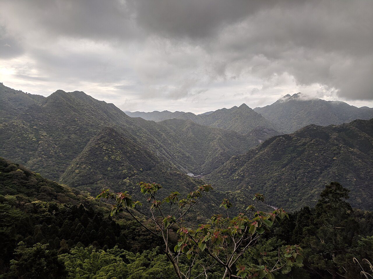 Yakushima