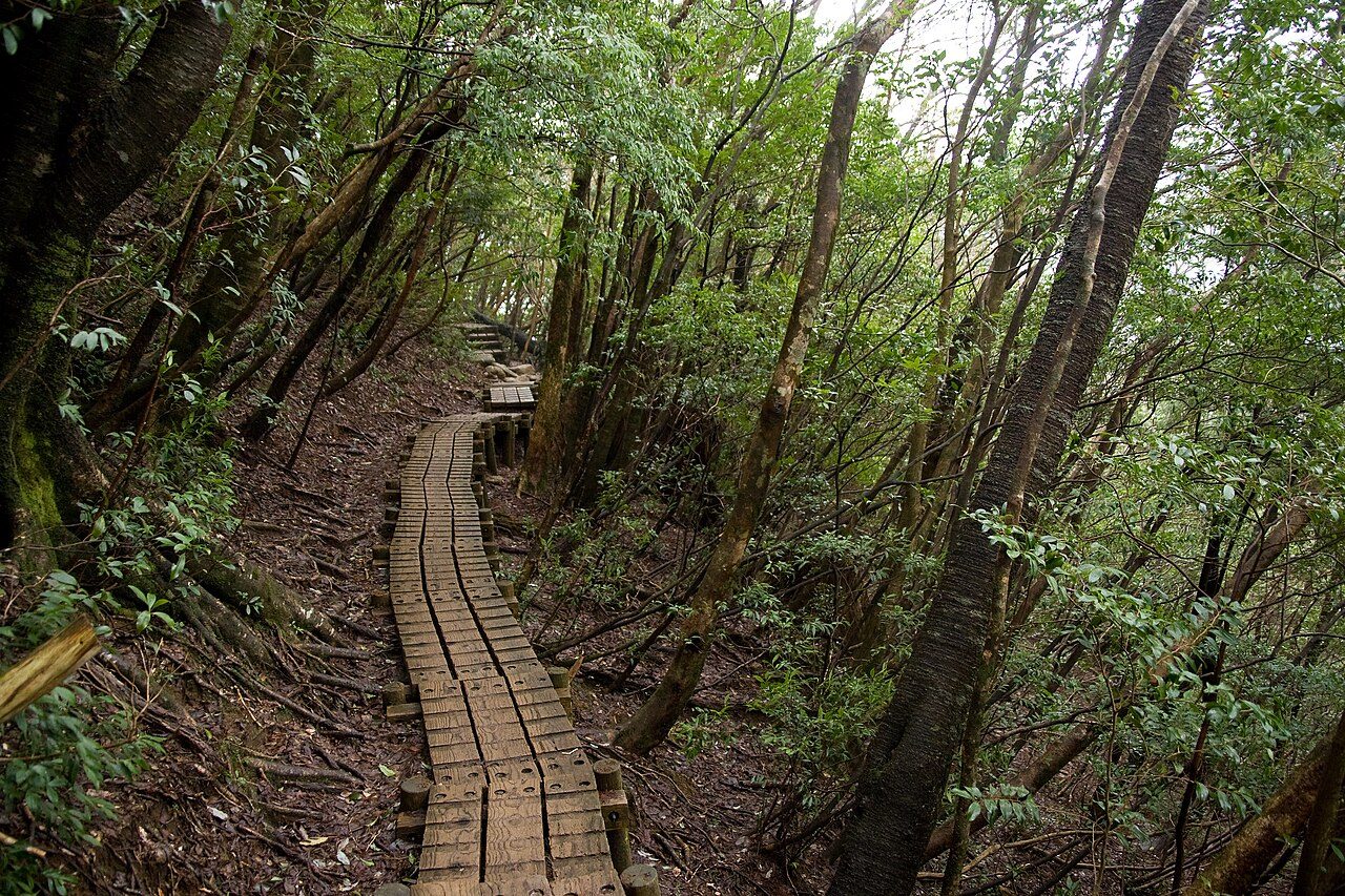 Yakushima