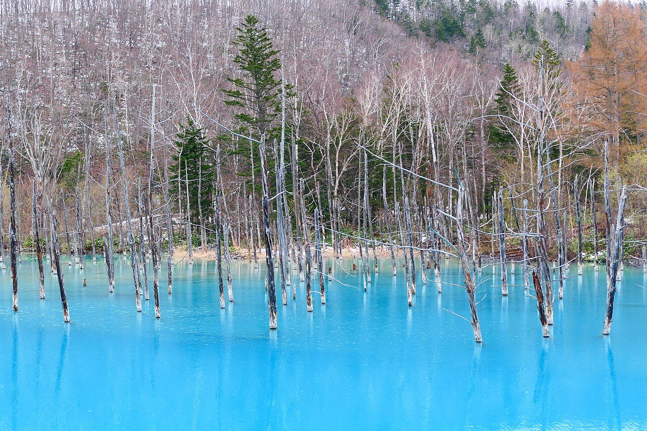 Hokkaido in 6 Days: Sapporo, Otaru, Lavender Fields, Shiretoko and Hakodate