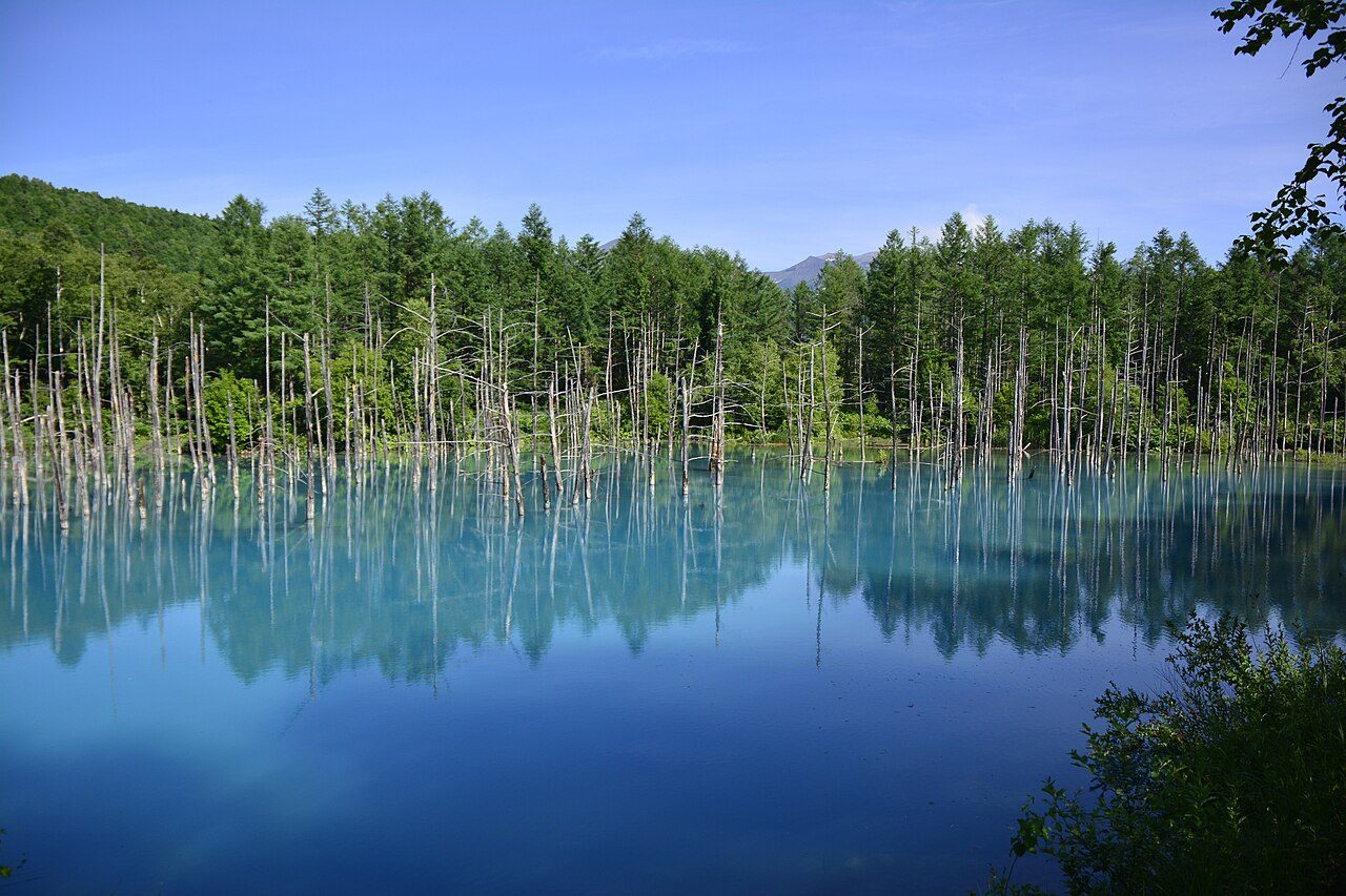 Blue Pond