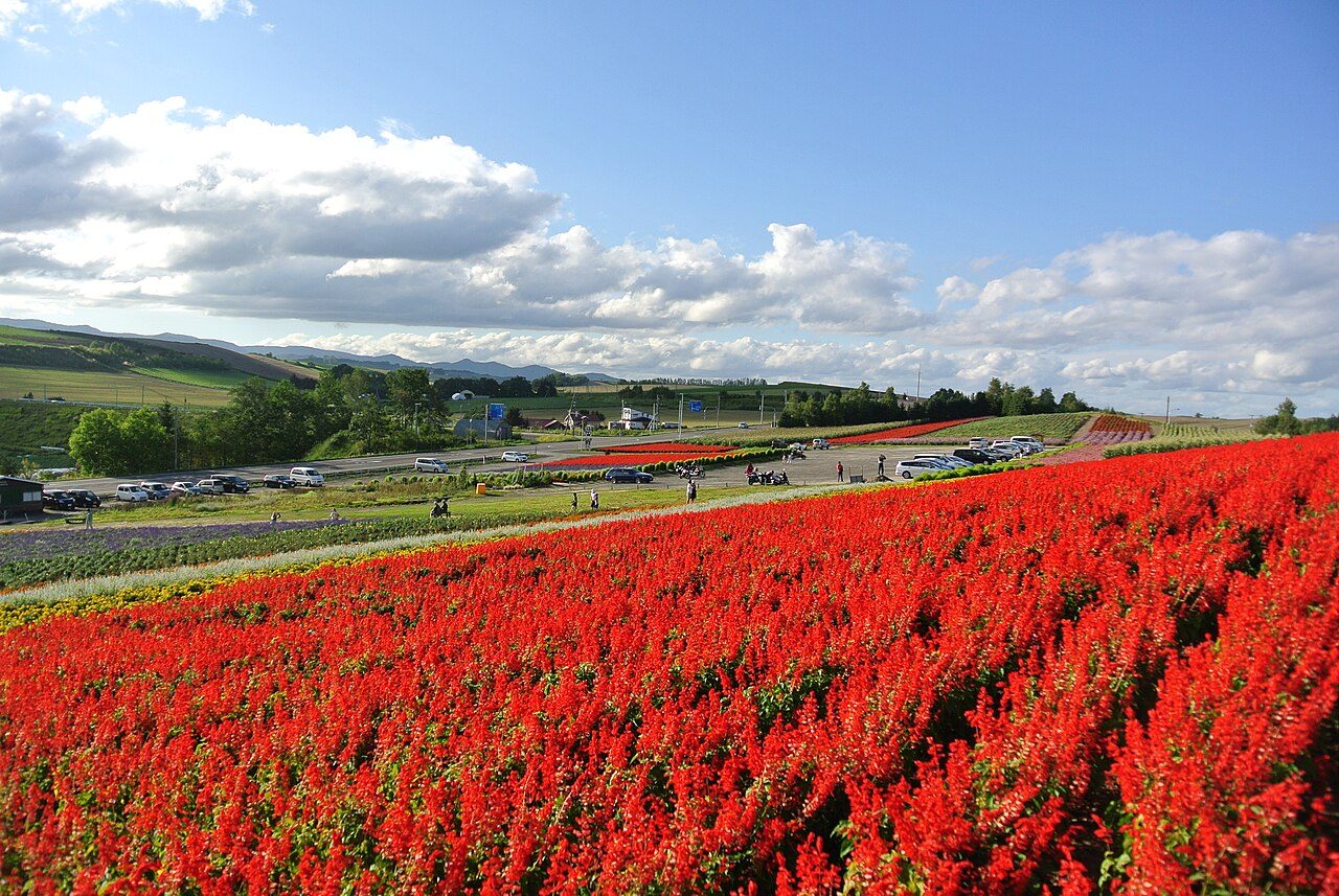 Farm Tomita