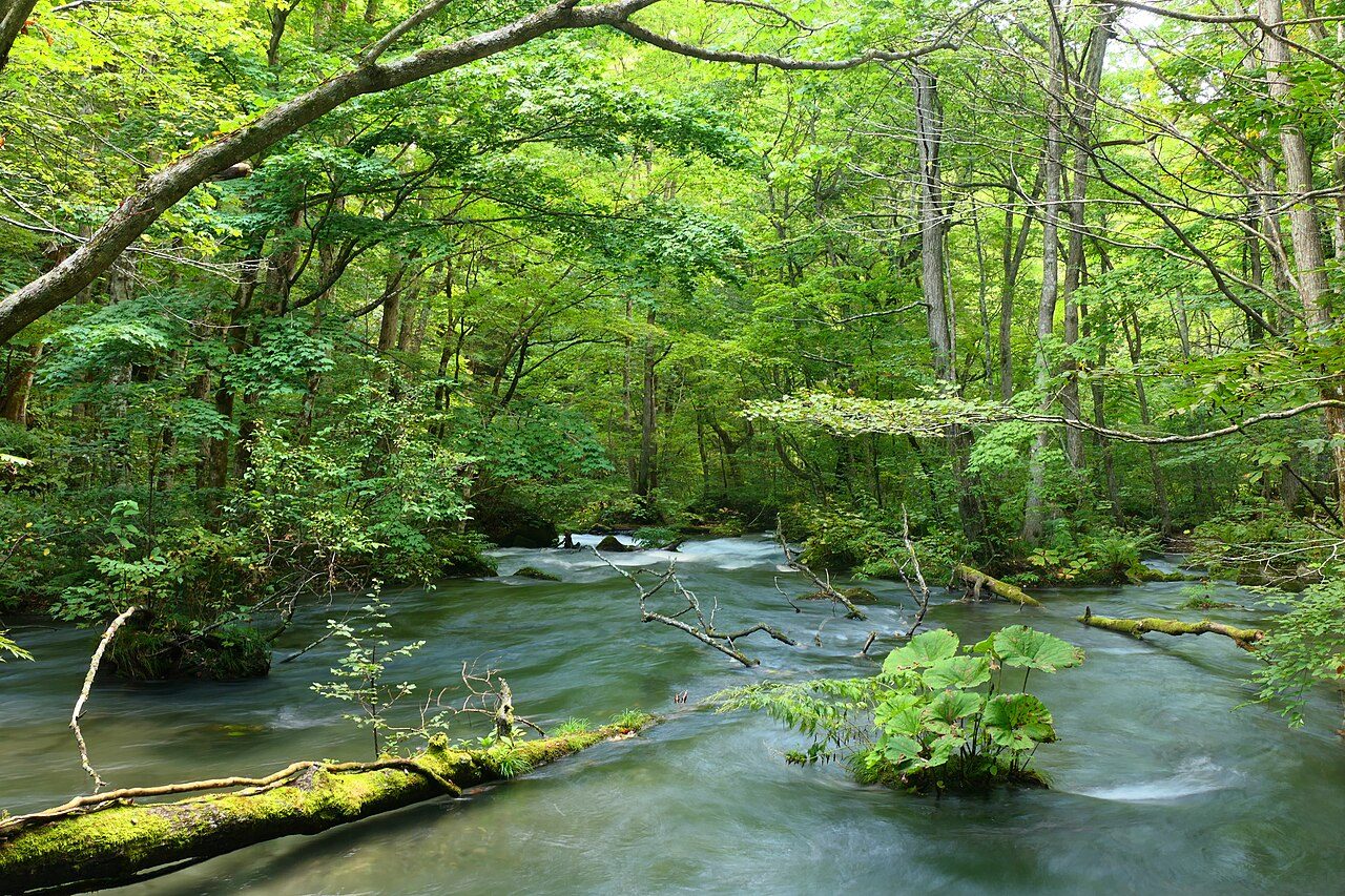 Oirase Stream