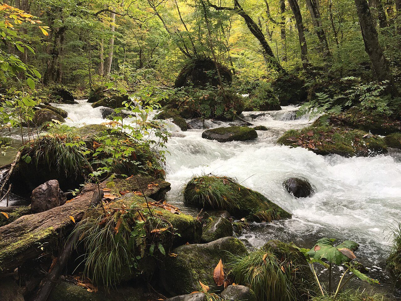 Oirase Stream