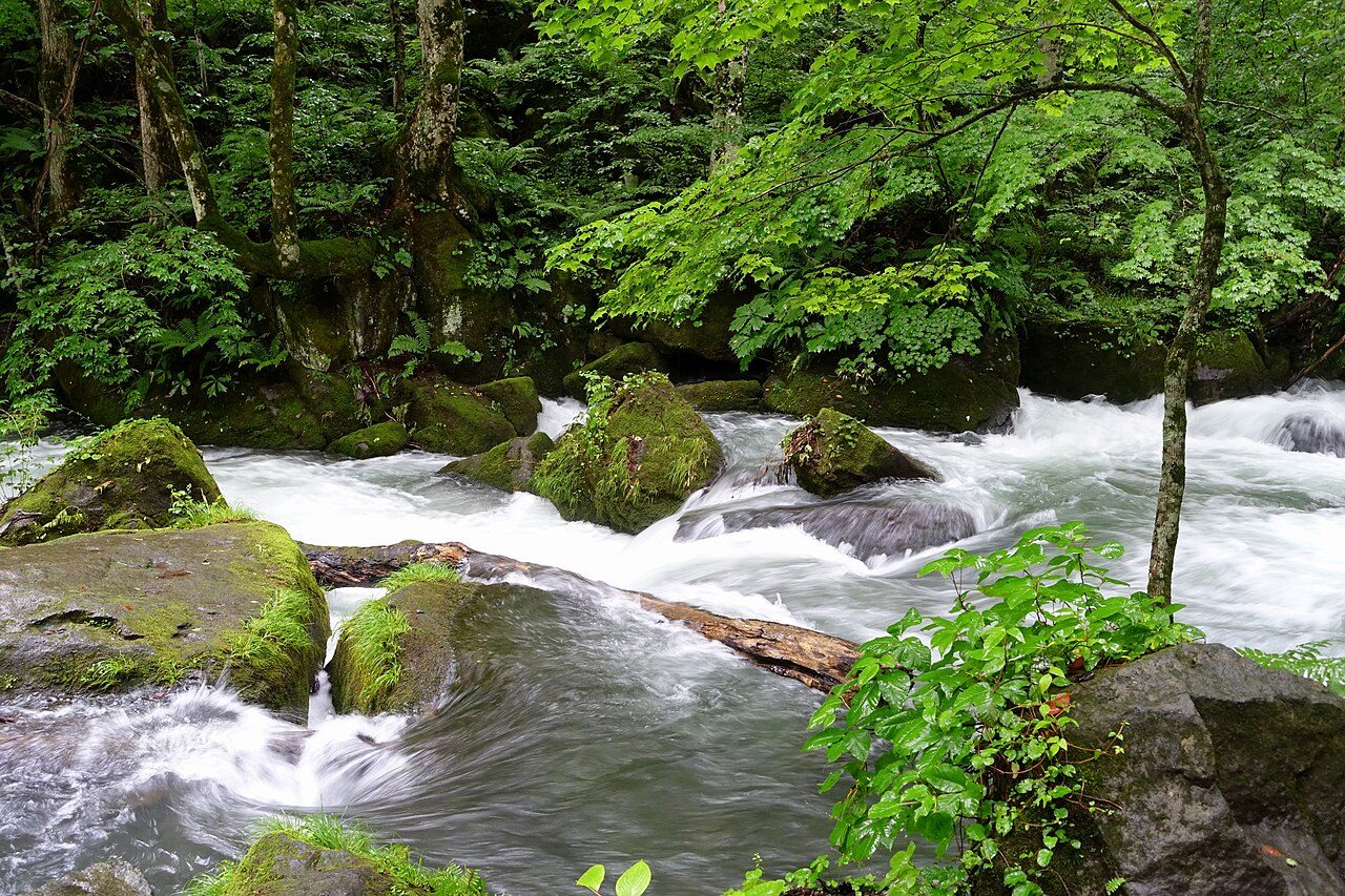 Oirase Stream