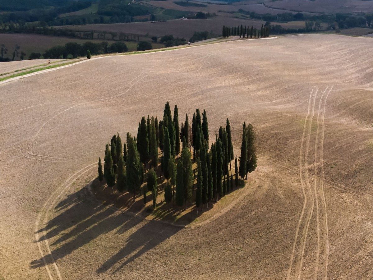 Florence and Tuscany in 6 Days: Renaissance Art, Hill Towns and the Val d'Orcia