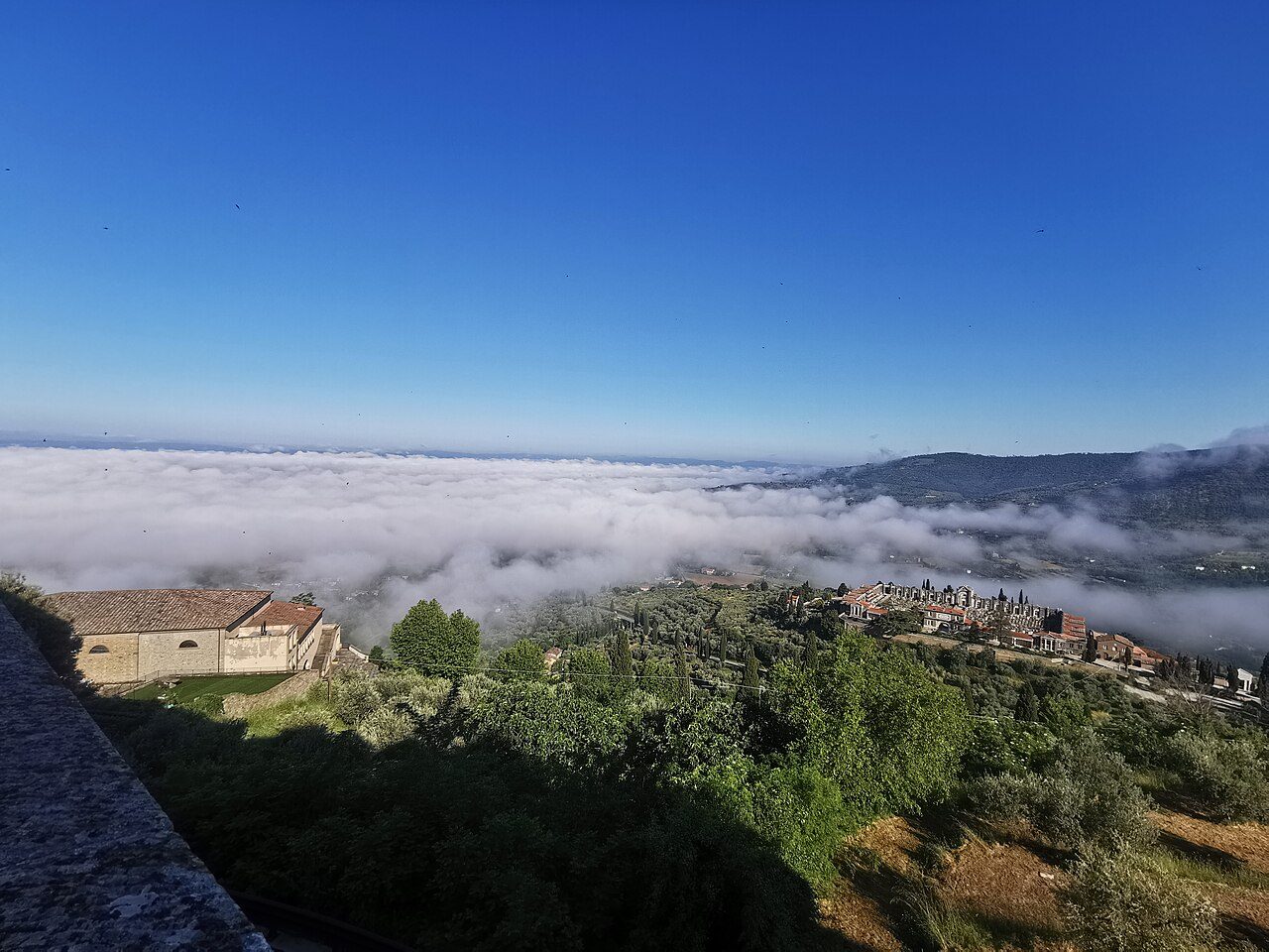 Cortona