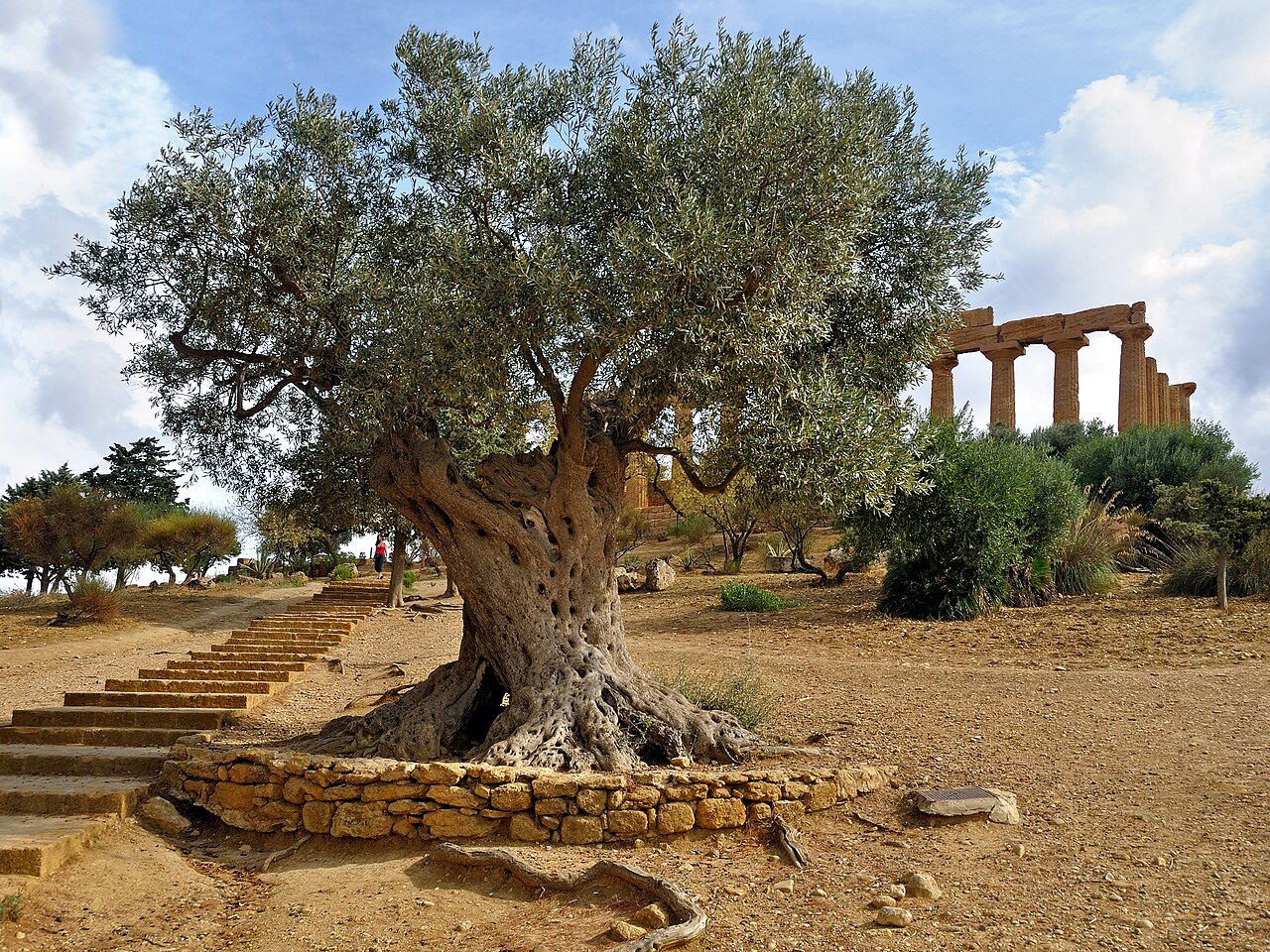 Valley of the Temples