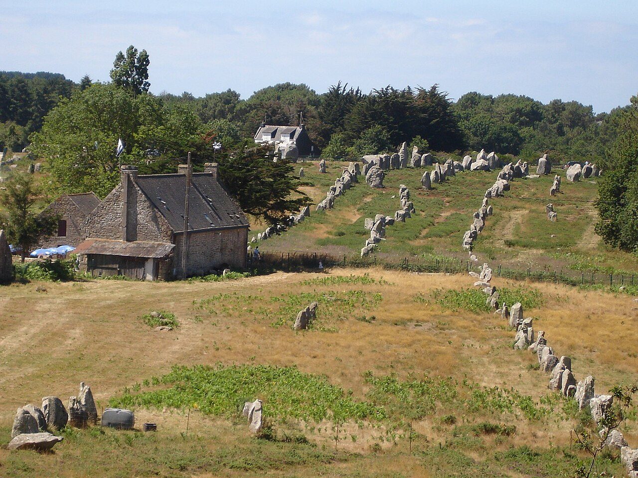 Carnac Stones