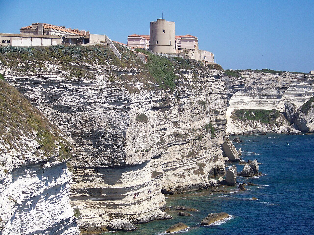 Bonifacio