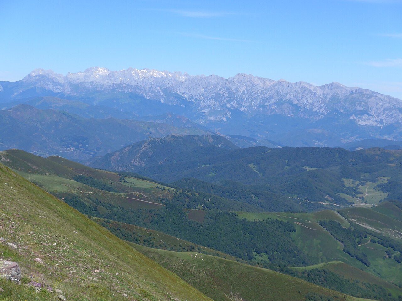 Picos de Europa