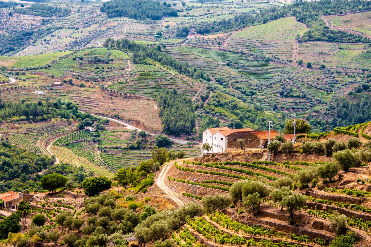 Douro Valley