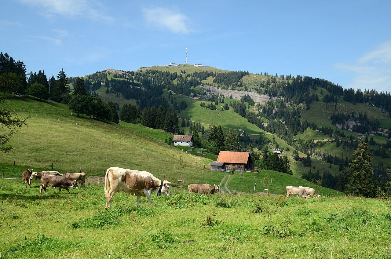Mount Rigi