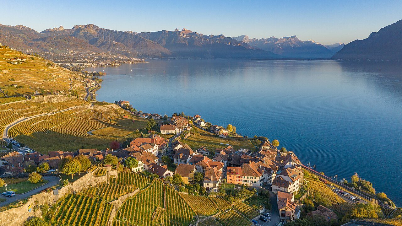 Lavaux Vineyards