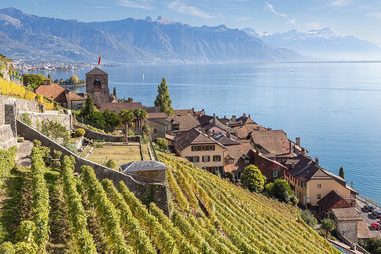 Lavaux Vineyards