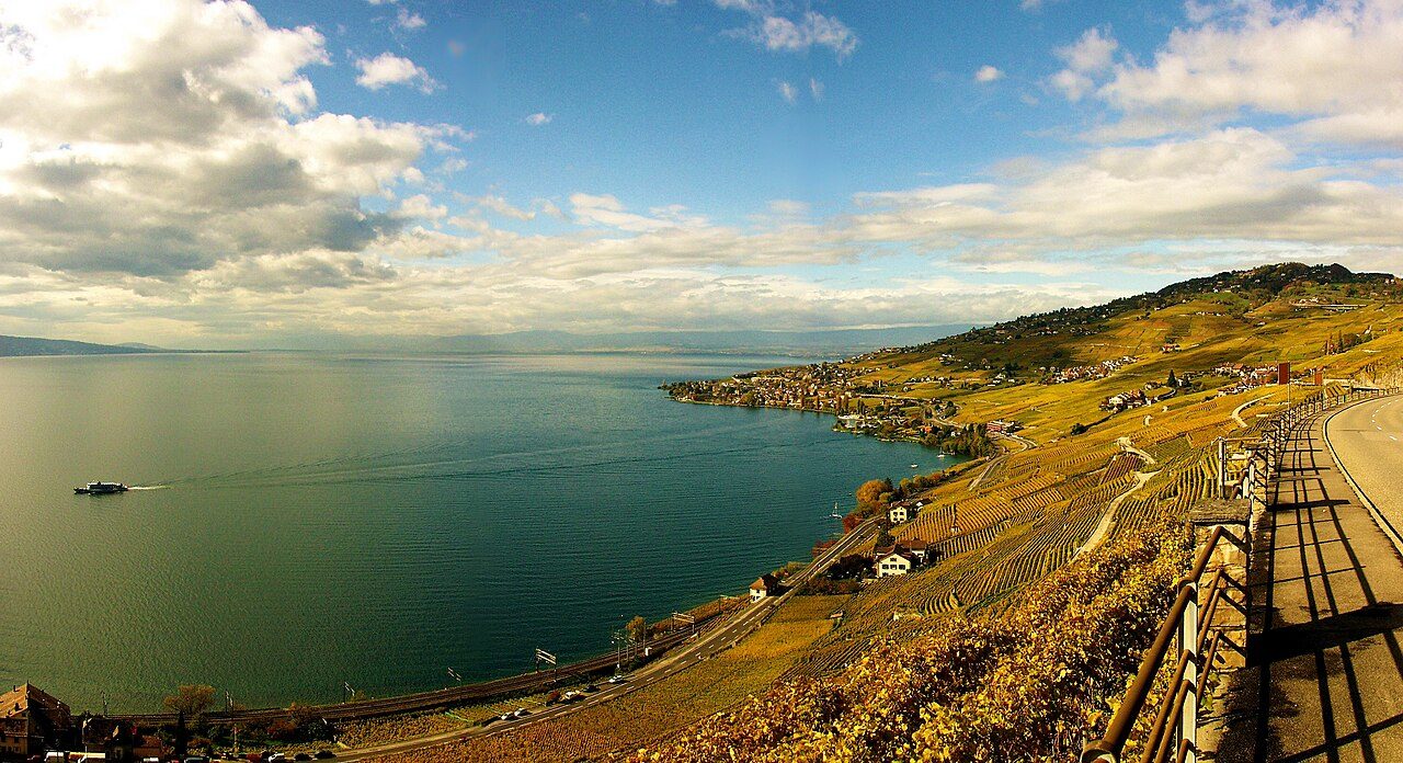 Lavaux Vineyards