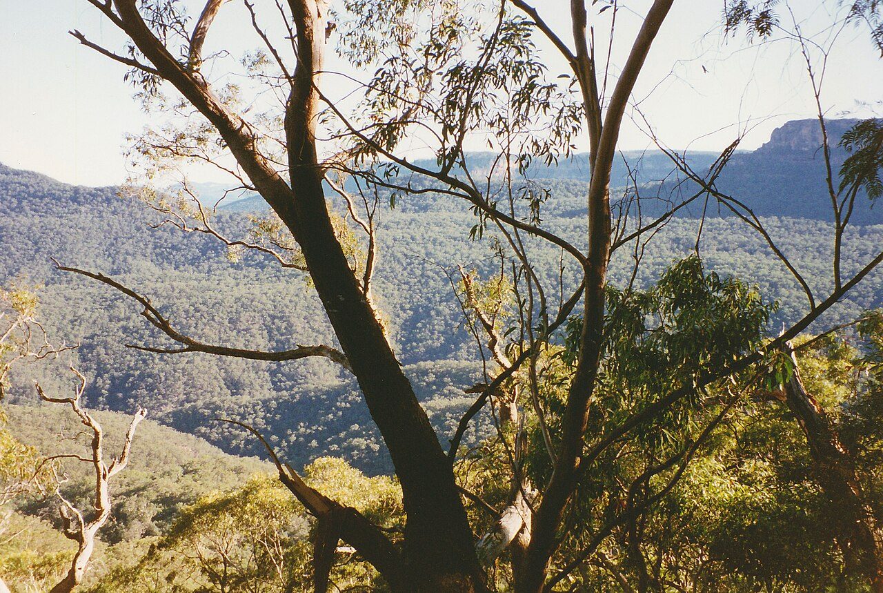 Blue Mountains National Park