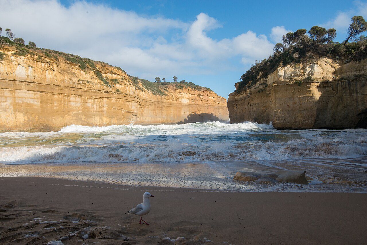 Loch Ard Gorge